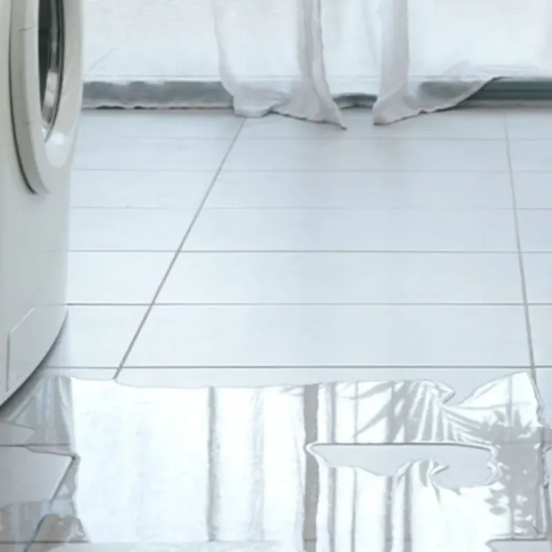 Appliance Leak Cleanup in Victor, ID