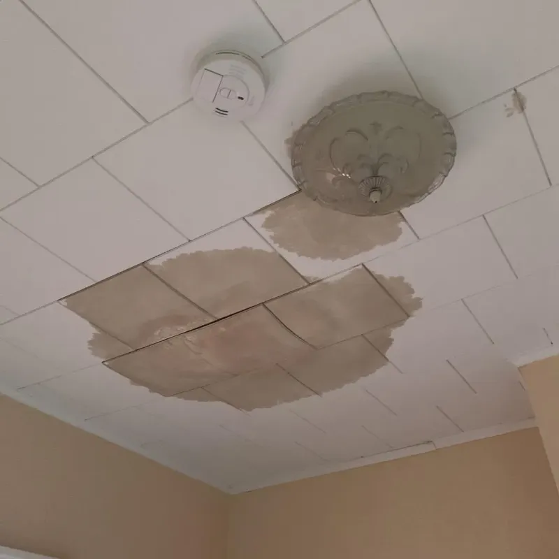 Ceiling Water Damage Repair in Victor, ID